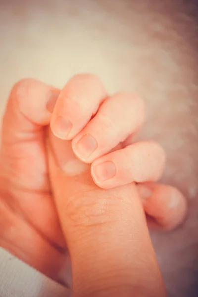 爱之触碰紧紧抓住婴儿的手 握住母亲的手指 新生婴儿牵着妈妈的手 图像有浅浅的田野深度 — 图库照片