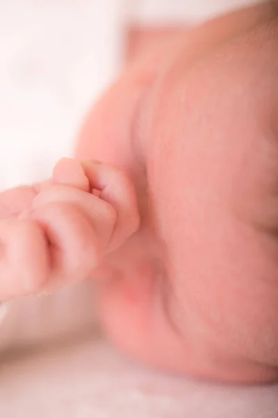 Bebê Recém Nascido Adormecido Cobertor Amante Mãe Mão Segurando Bonito — Fotografia de Stock