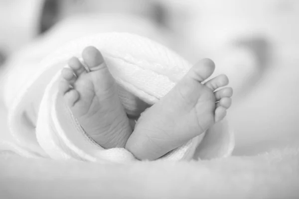 Pie Pequeño Del Bebé Recién Nacido Enfoque Selectivo Suave —  Fotos de Stock