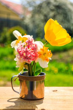 Tahta bir masada, çiçekli kırsal bardak, yaz bahçesi, rahatlama konsepti. Yaz bahçesinde kupada bahar çiçekleri. Kırsal alan, güneş ışığı altında. Yaz mevsimi.