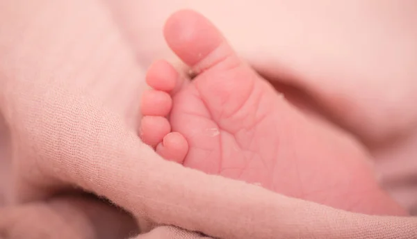 Close Picture Newborn Baby Feet Sleeping Newborn Baby Light Blanket — Stock Photo, Image