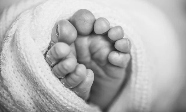Minúsculo Bebé Recém Nascido Pés Bebê Recém Nascidos Macios Contra — Fotografia de Stock