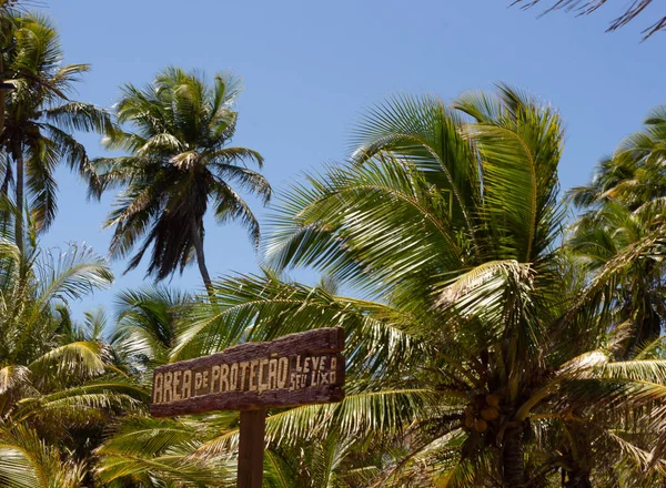 Naturalny Krajobraz Pełen Drzew Kokosowych Drewnianym Znakiem Mówiącym Obszar Ochrony — Zdjęcie stockowe