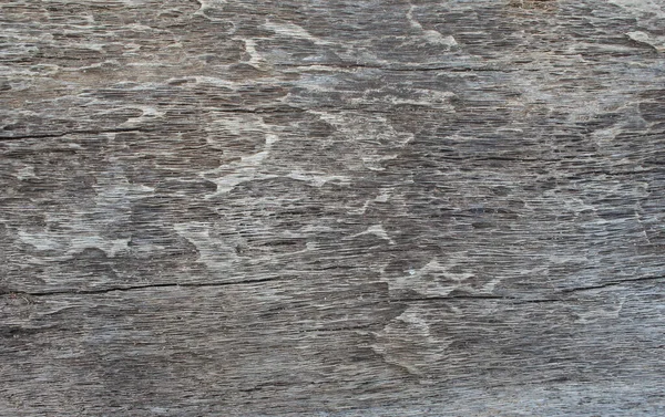 Natural Wood Texture Grey Background — Stock Photo, Image