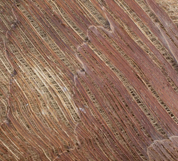 Texture Legno Naturale Con Colore Marrone — Foto Stock