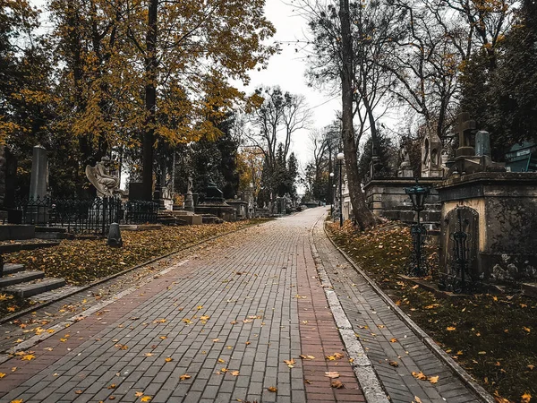 Lviv Ukraine November 2019 Tranquil Pavement Pathway Lychakiv Cemetery Peaceful — 图库照片