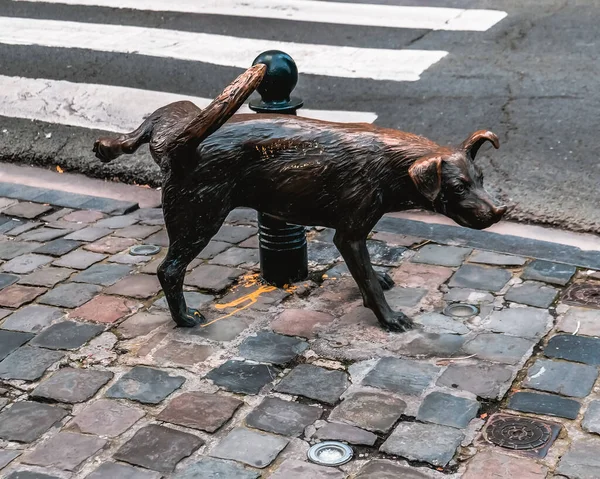 Bruxelles Belgien Oktober 2019 Zinneke Pis Monument Centrum Bruxelles Berømte - Stock-foto