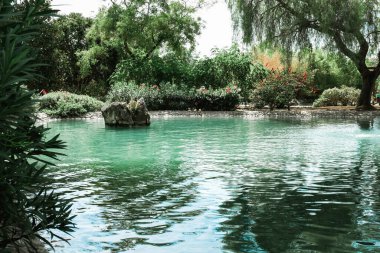 İspanya 'nın Marbella kentindeki bir parkta yeşil ağaçlarla çevrili güzel bir manzara. Güneşli bir günde temiz suya yansıyan yansıma. Etrafta kimsenin olmadığı huzurlu bir manzara..
