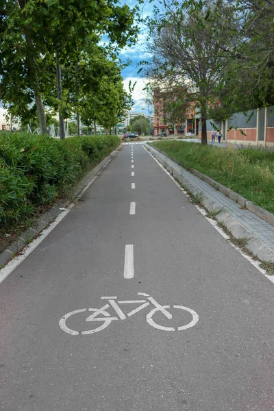 Carril Bici Vacío Ciudad — Foto de Stock