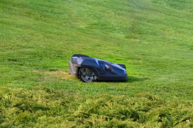 Robotik çim biçme makinesi bahçedeki çimleri biçiyor.