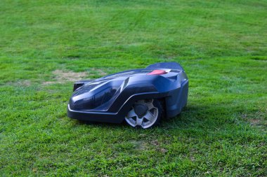 Robotik çim biçme makinesi bahçedeki çimleri biçiyor.