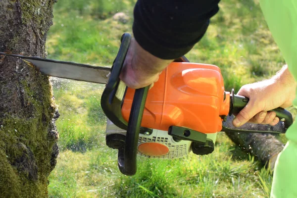 Man Sawing Garden Tree Electric Chainsaw Hands Chainsaw Close — Stock Photo, Image