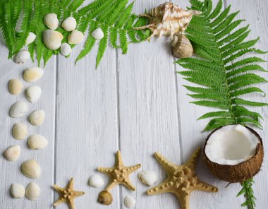 Hindistan cevizi, denizyıldızı ve arka planda deniz kabukları ile yassılaşmış.