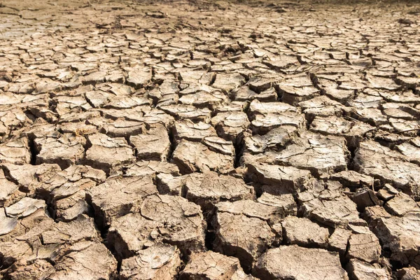 Close up of cracked mud after drought conditions