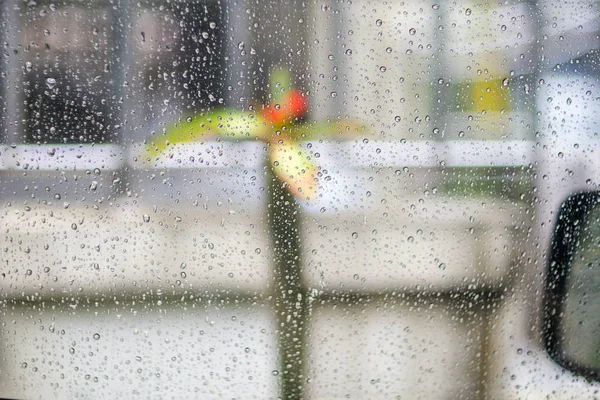 Regn Vindrutan — Stockfoto