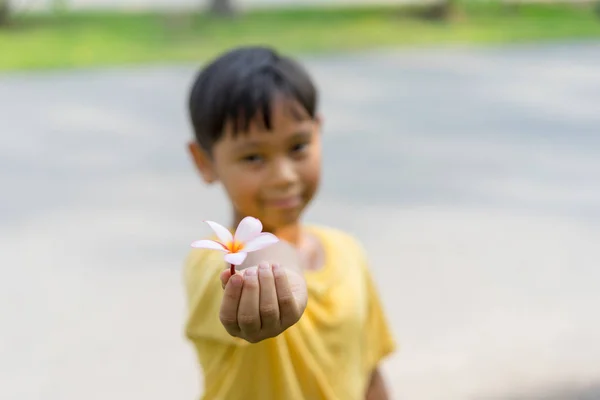 Flores São Colocadas Nas Mãos Menino Asiático — Fotografia de Stock