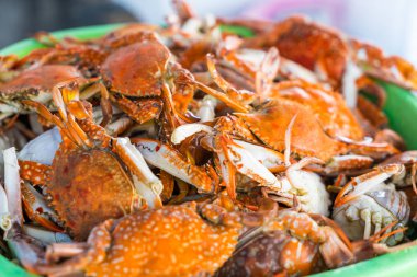 Buharda pişmiş yengeç için yığını turistlere satılan