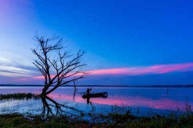 balıkçı Bang Phra rezervuar Sunrise, Sriracha, Chonburi, Tayland, Thailand içinde ağacıyla silüeti