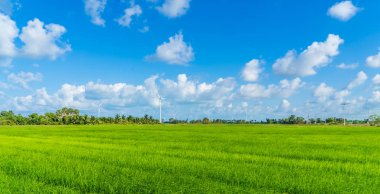 Yeşil teknoloji kavramı. Rüzgar jeneratörleri alanında Hua Sai District, Nakhon Si Thammarat eyaletinin, Tayland