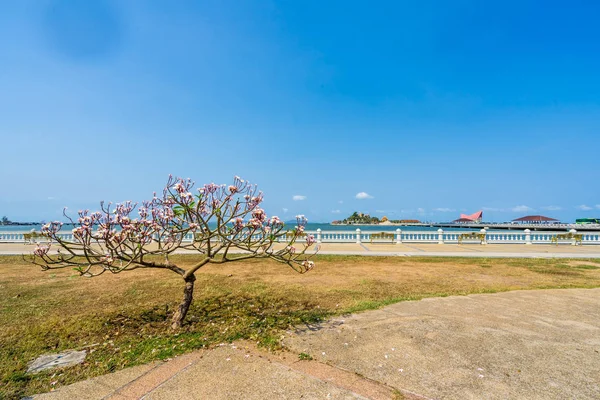 Koh Loy Landmark Sriracha Świetle Dziennym Sriracha Chonburi Tajlandia — Zdjęcie stockowe