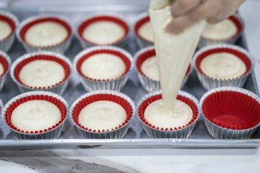 Muzlu kek ev yapımı yapan kadının eli 