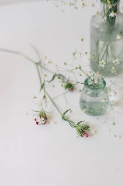 Vintage cam vazoda narin bir bebeğin nefesi çiçek açar ve dianthus beyaz arka planda çiçek açar. Gypìila, Mayıs ve Ağustos aylarında açan dekoratif bir bitki.. 