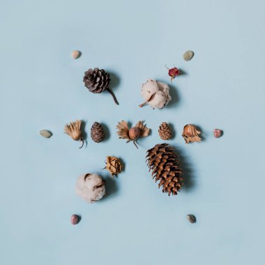 Doğal elementlerden elde edilen yaratıcı düz kar taneleri: çiğ fındık, kozalak, pamuk ve kurumuş güller. Tatil sezonu için en küçük üst görünüm kompozisyonu, Noel kartı veya mavi arkaplan daveti.