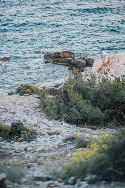 Romantische Meereslandschaft Landlinie Thassos Griechenland — Stockfoto