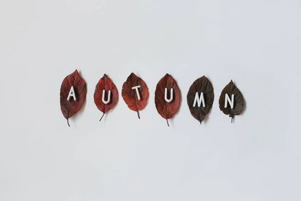 Creative Minimal Autumn Flat Lay Composition Red Fallen Leaves Letters — Stock Photo, Image