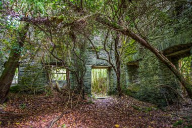 West Cork, County Cork, İrlanda 'da Ballylicky yakınlarında eski bir hidroelektrik santrali harabesi.