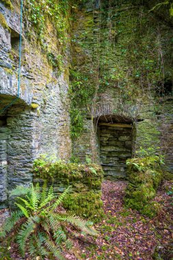 West Cork, County Cork, İrlanda 'da Ballylicky yakınlarında eski bir hidroelektrik santrali harabesi.