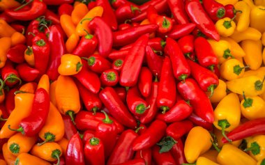 Avusturya, Viyana 'daki Naschmarkt' ta farklı sebze ve baharatlar