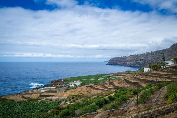 Plantación Plátanos Largo Costa Lado Sur Tenerife Islas Canarias España — Foto de Stock