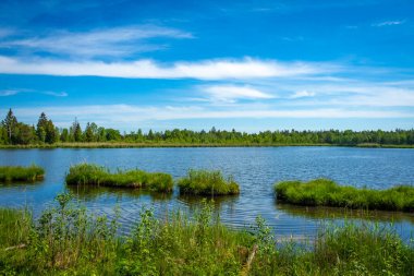 En büyük doğal bozkırda yürüyüş, Wurzacher Ried, Güney Almanya