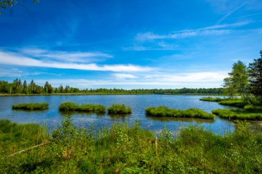 En büyük doğal bozkırda yürüyüş, Wurzacher Ried, Güney Almanya