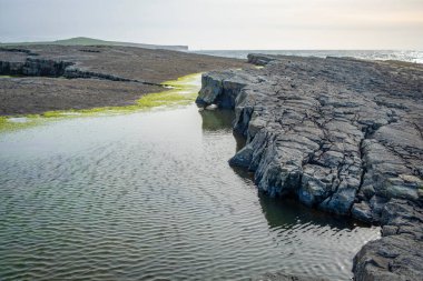 İrlanda 'nın Clare ilçesinde, Ross' un muhteşem köprülerinde dolaşıyorum.
