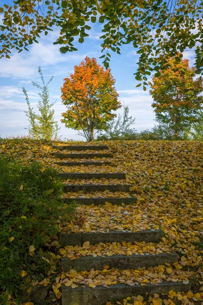 德国南部的康斯坦斯湖 秋天长满了五彩缤纷的树叶 — 图库照片