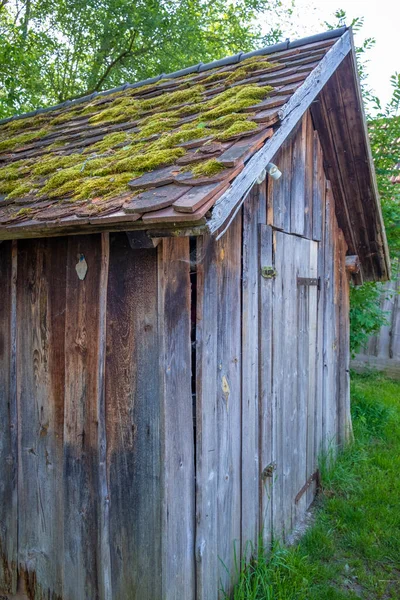 Vandringstur Genom Den Största Naturliga Heden Wurzacher Ried Bad Wurzach — Stockfoto