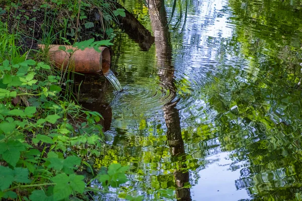 Vandringstur Genom Den Största Naturliga Heden Wurzacher Ried Sydtyskland — Stockfoto