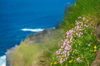 Moher, Co Clare, İrlanda 'nın muhteşem uçurumlarında yürüyorum.