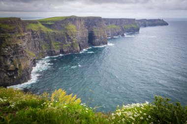 Moher, Co Clare, İrlanda 'nın muhteşem uçurumlarında yürüyorum.
