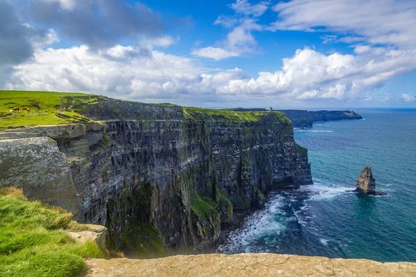 Marcher Long Des Falaises Dangereuses Très Spectaculaires Moher Clare Irlande — Photo