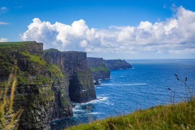 Moher, Co Clare, İrlanda 'nın muhteşem uçurumlarında yürüyorum.