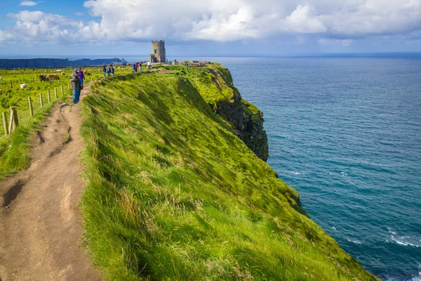 Moher, Co Clare, İrlanda 'nın muhteşem uçurumlarındaki O Brians Kulesi' ne yürüyorum.