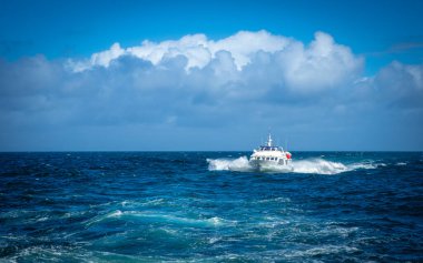 Doolin 'den İrlanda' nın Clare ilçesindeki Moher 'in muhteşem uçurumlarına tekne gezisi