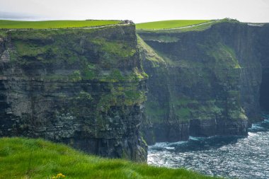 Moher, Co Clare, İrlanda 'nın muhteşem uçurumlarında yürüyorum.
