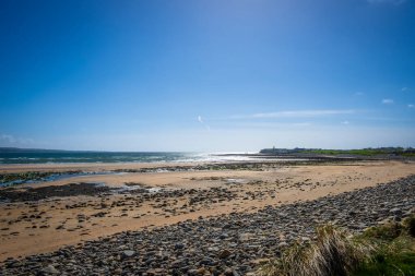 Baltık Denizi 'ndeki kumsal