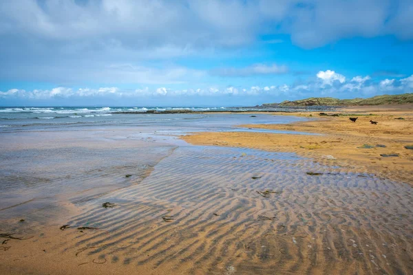 Caminando Por Maravillosa Playa Fanore Burren Clare Irlanda — Foto de Stock