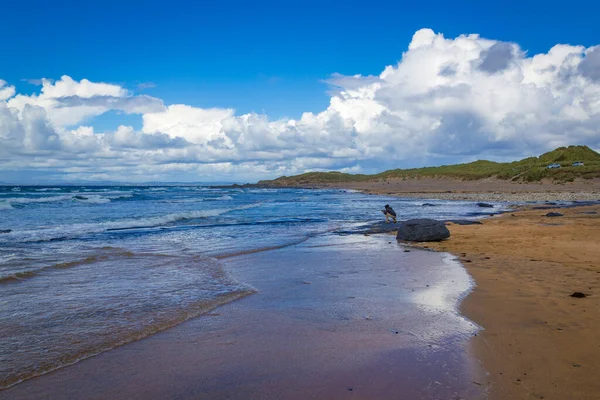 Caminhando Longo Maravilhosa Praia Fanore Burren Clare Irlanda — Fotografia de Stock