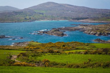 West Cork, County Cork, İrlanda 'daki Brow Head tepesinden Toormore manzaralı güzel manzara